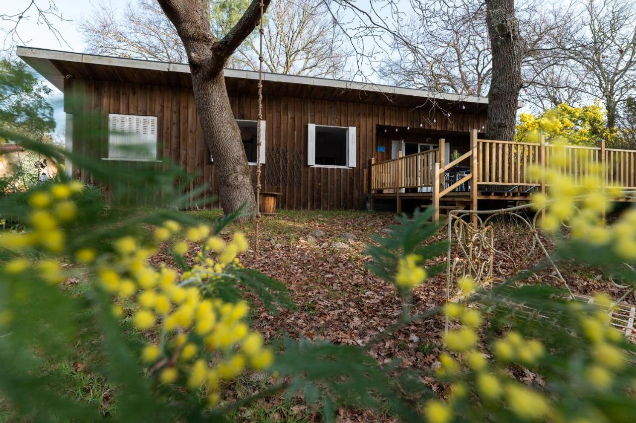 La Petite Maison Du Lac 比斯卡罗斯 外观 照片